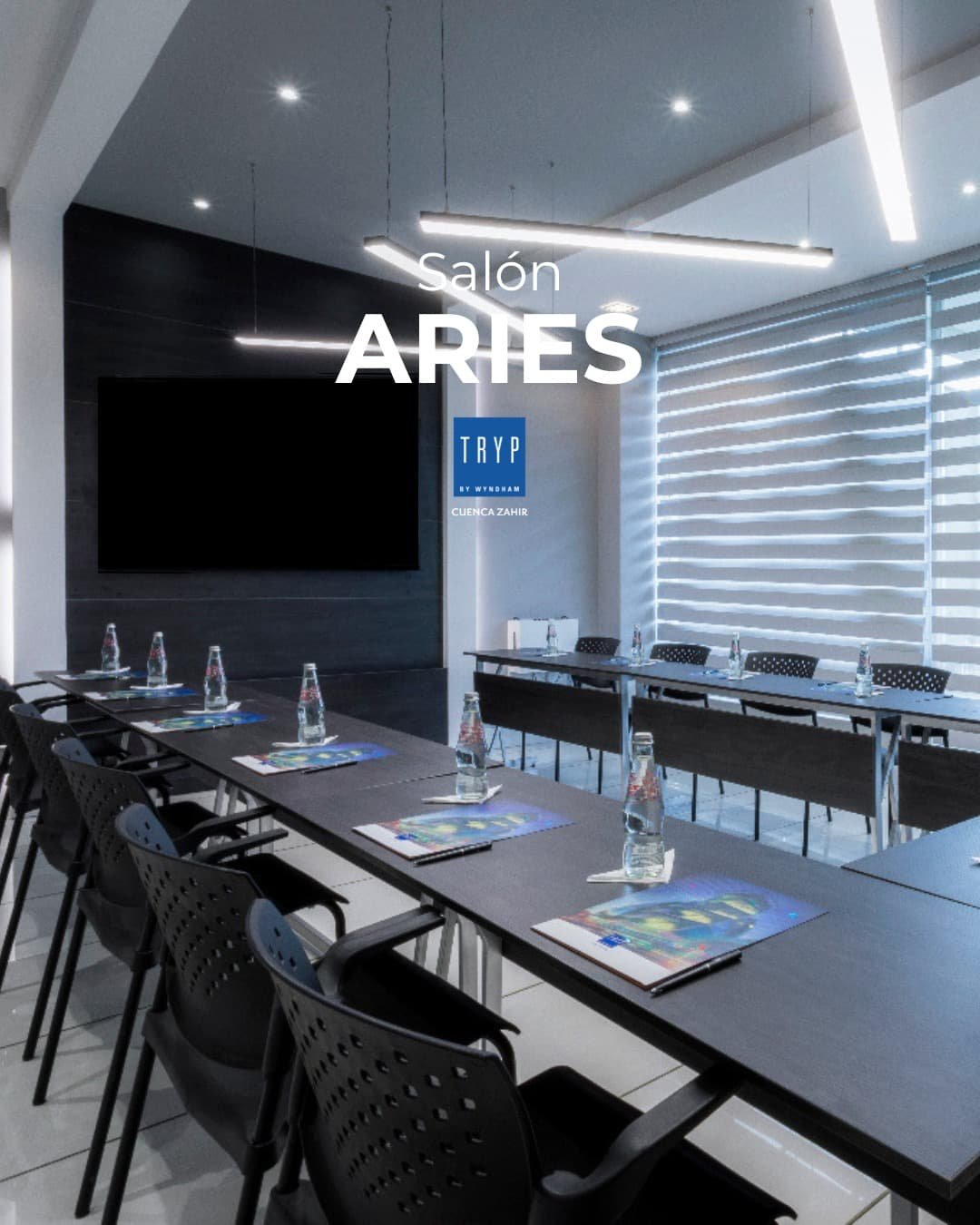 Vista vertical Salón Omega